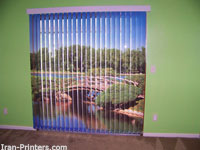 mimaki transfer