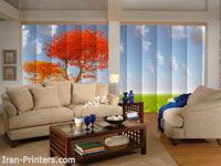 transfer sublimation