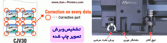 cropmark detection